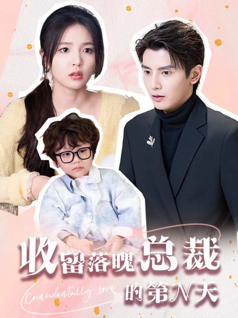 收留落魄总裁的第N天 第16集