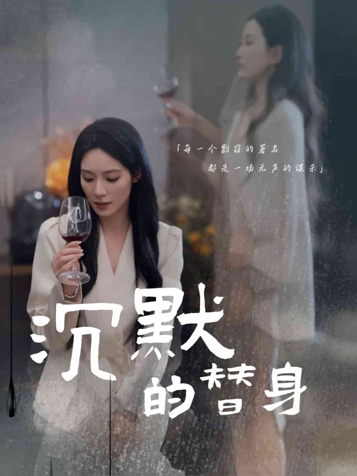 沉默的疯子 第17集