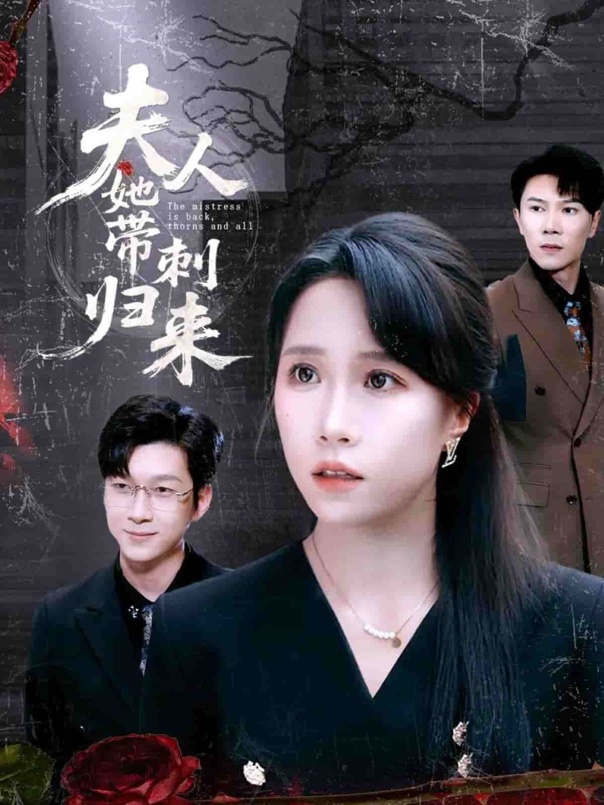 夫人她带刺归来 第23集