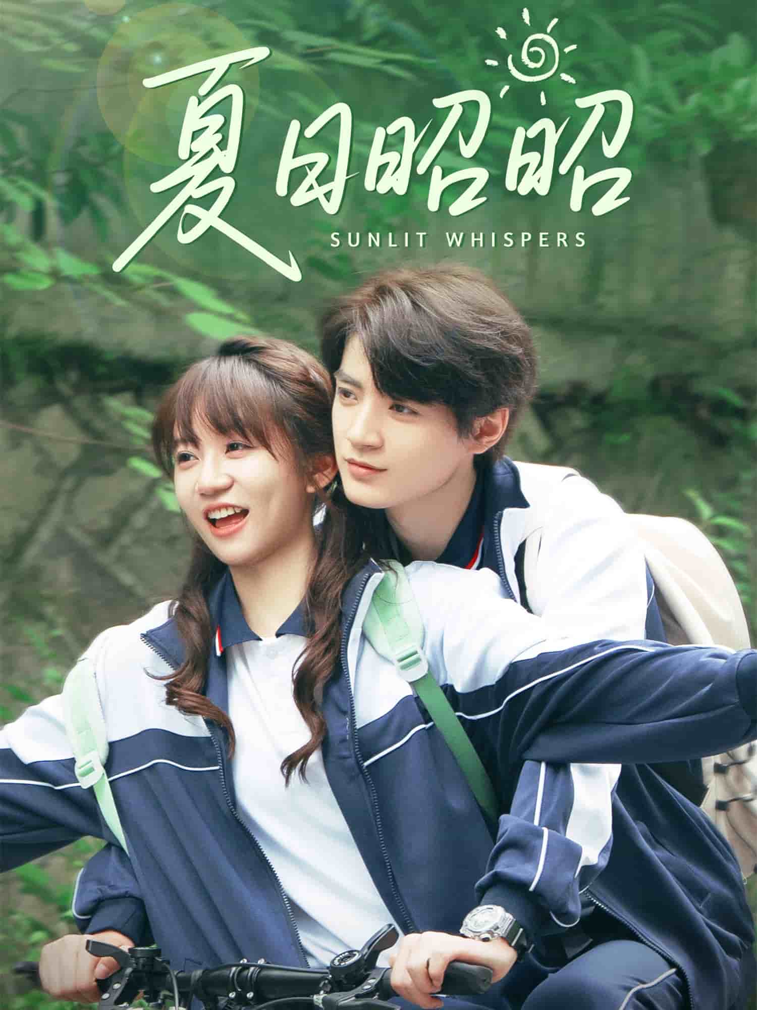 夏日昭昭 第61集