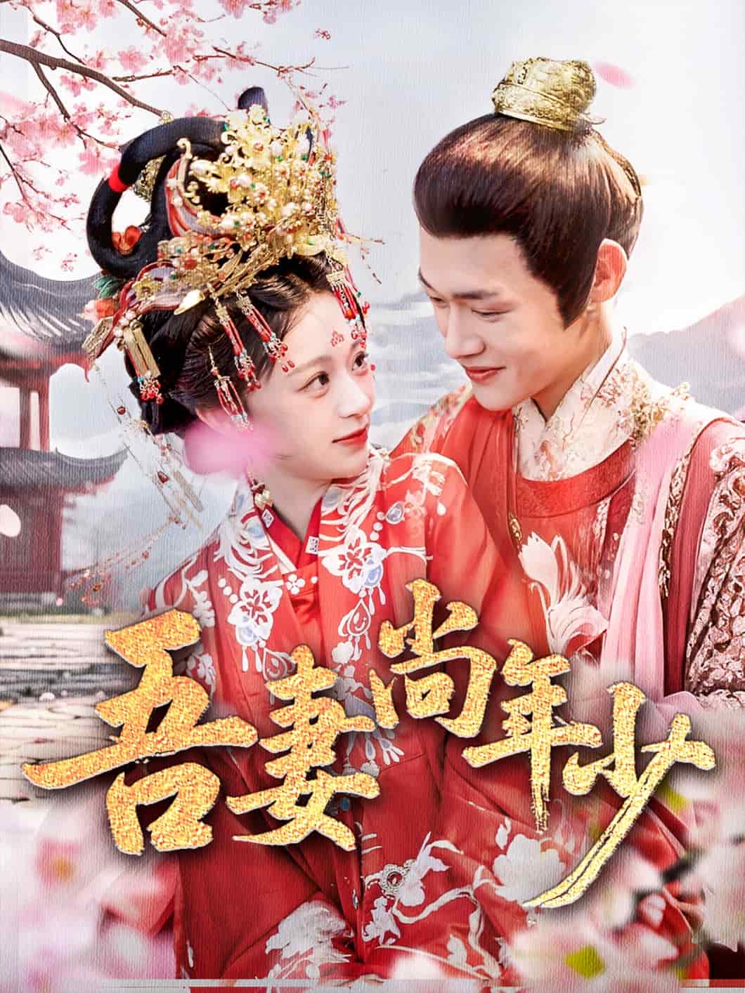 吾妻尚年少 第30集