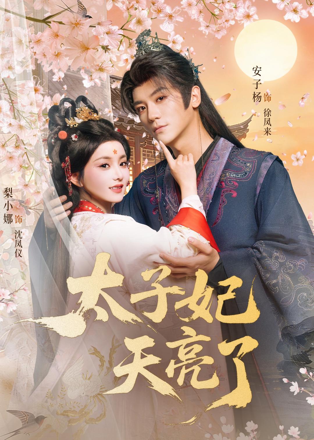 太子妃天亮了 第15集