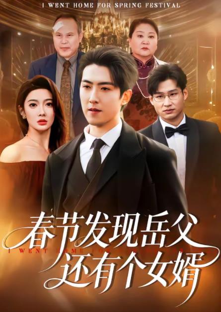 春节发现岳父还有个女婿 第26集