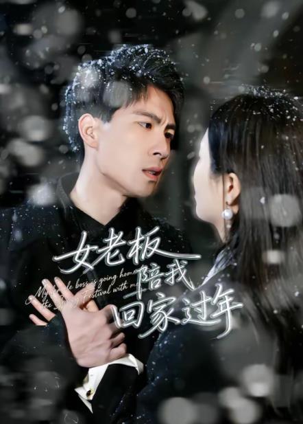 女老板陪我回家过年 第16集