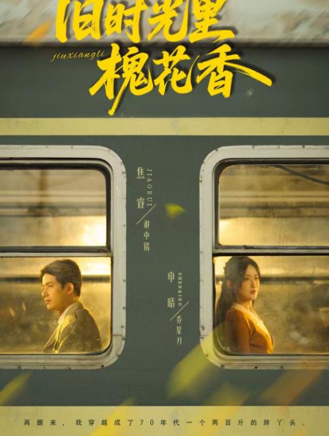 旧时光里槐花香 第10集