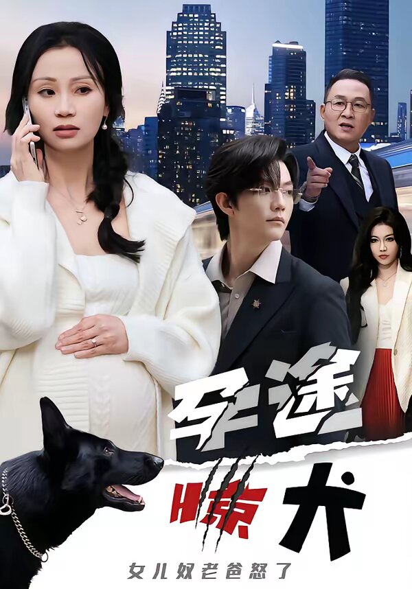 孕途惊犬，女儿奴老爸怒了 第30集(大结局)