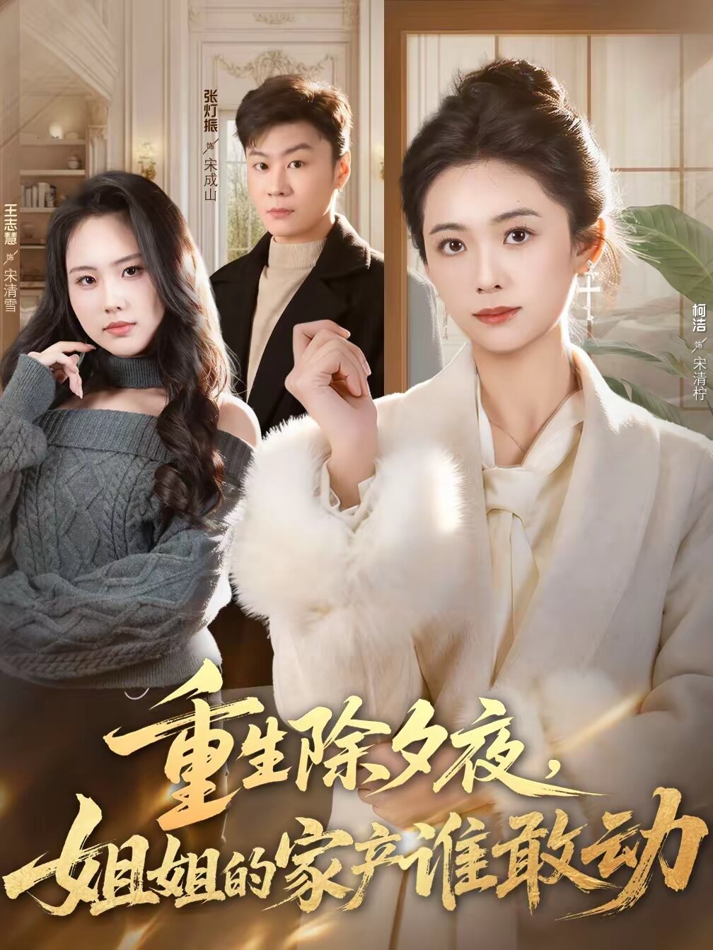 重生除夕夜，姐姐的家产谁敢动 第02集