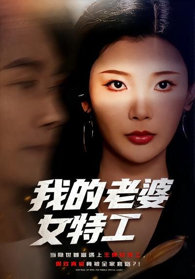 我的老婆女特工 第53集