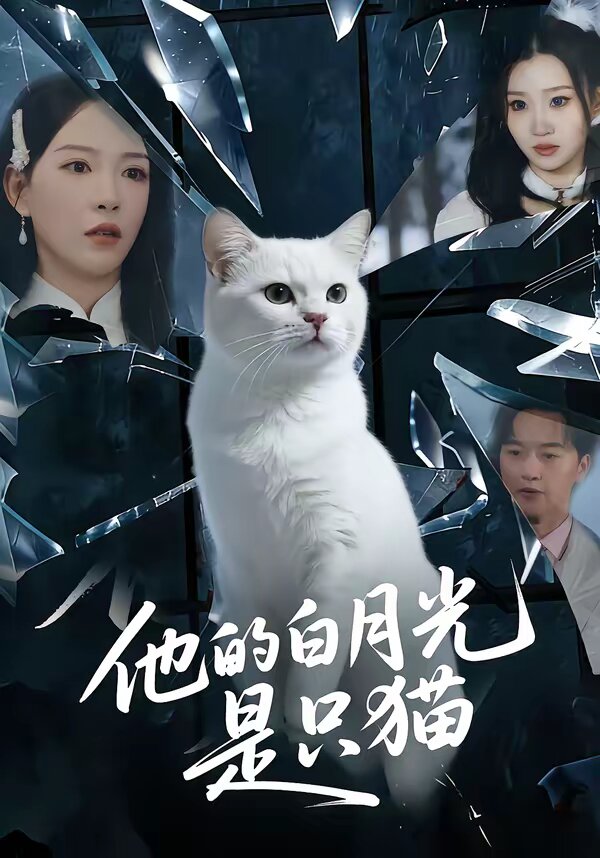 他的白月光是只猫 第54集