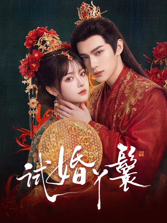 试婚丫鬟2026 第01集