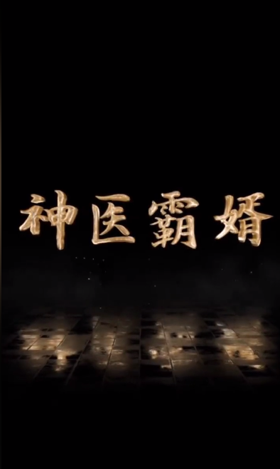 神医霸婿 第43集