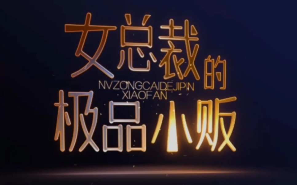 女总裁的极品小贩 第20集