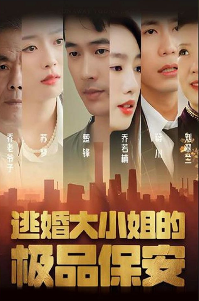 逃婚大小姐的极品保安 1-20集