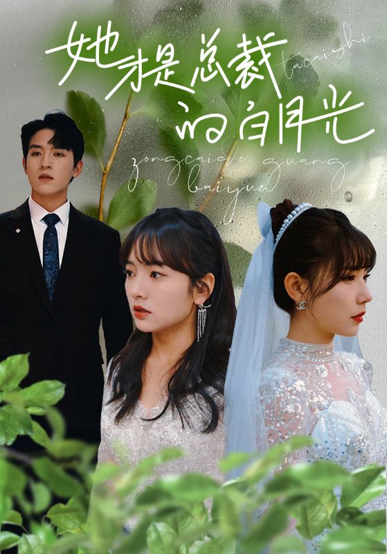 她才是总裁的白月光 第01集