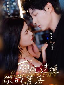 南风国境你我皆客 第45集