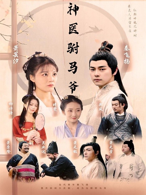 神医驸马爷 第01集