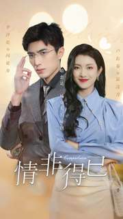 情非得已 第01集