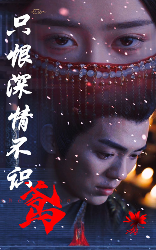 只恨深情不识鸢 第15集