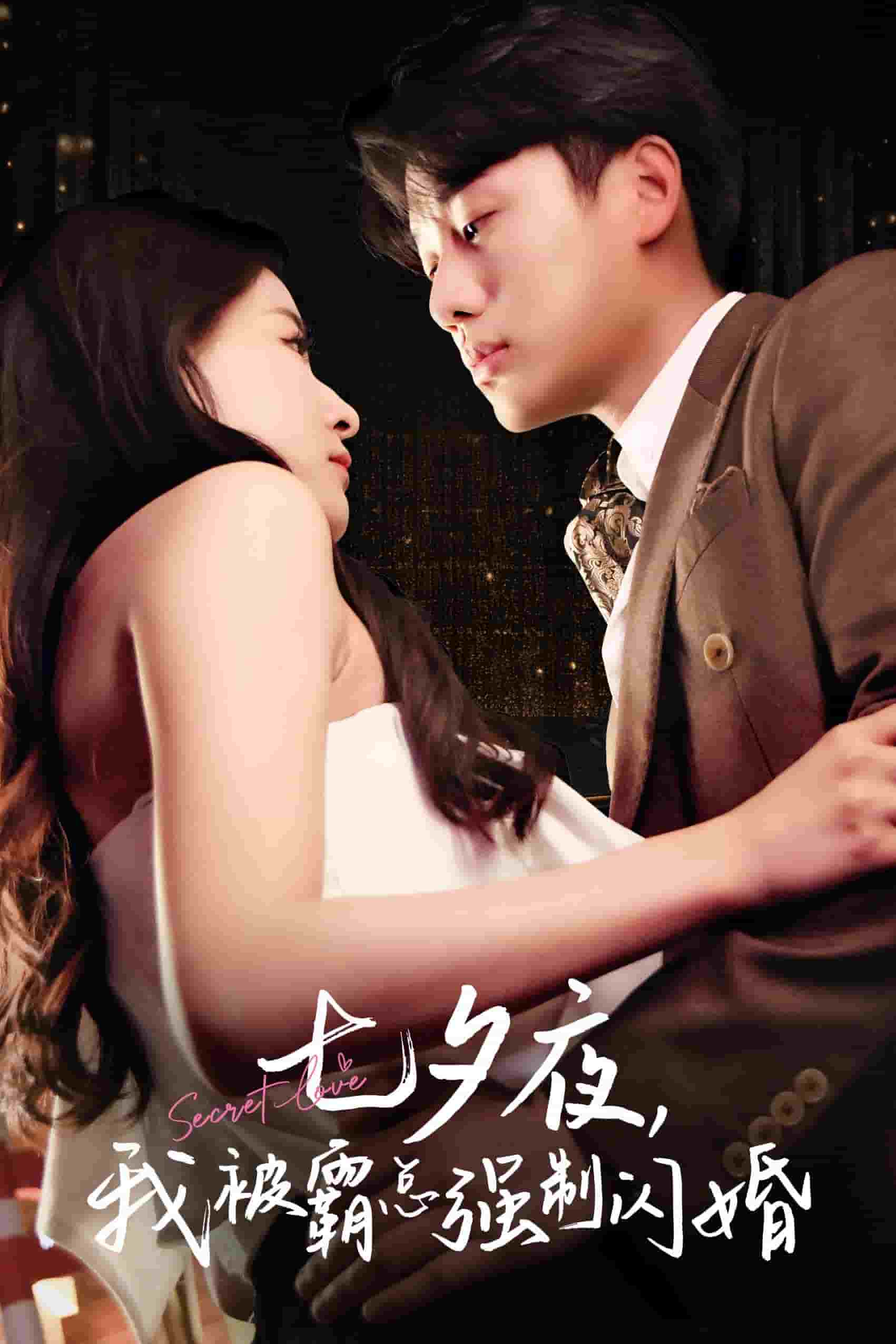 七夕夜我被霸总强制闪婚 第21集