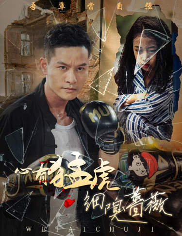 心有猛虎细嗅蔷薇 第30集