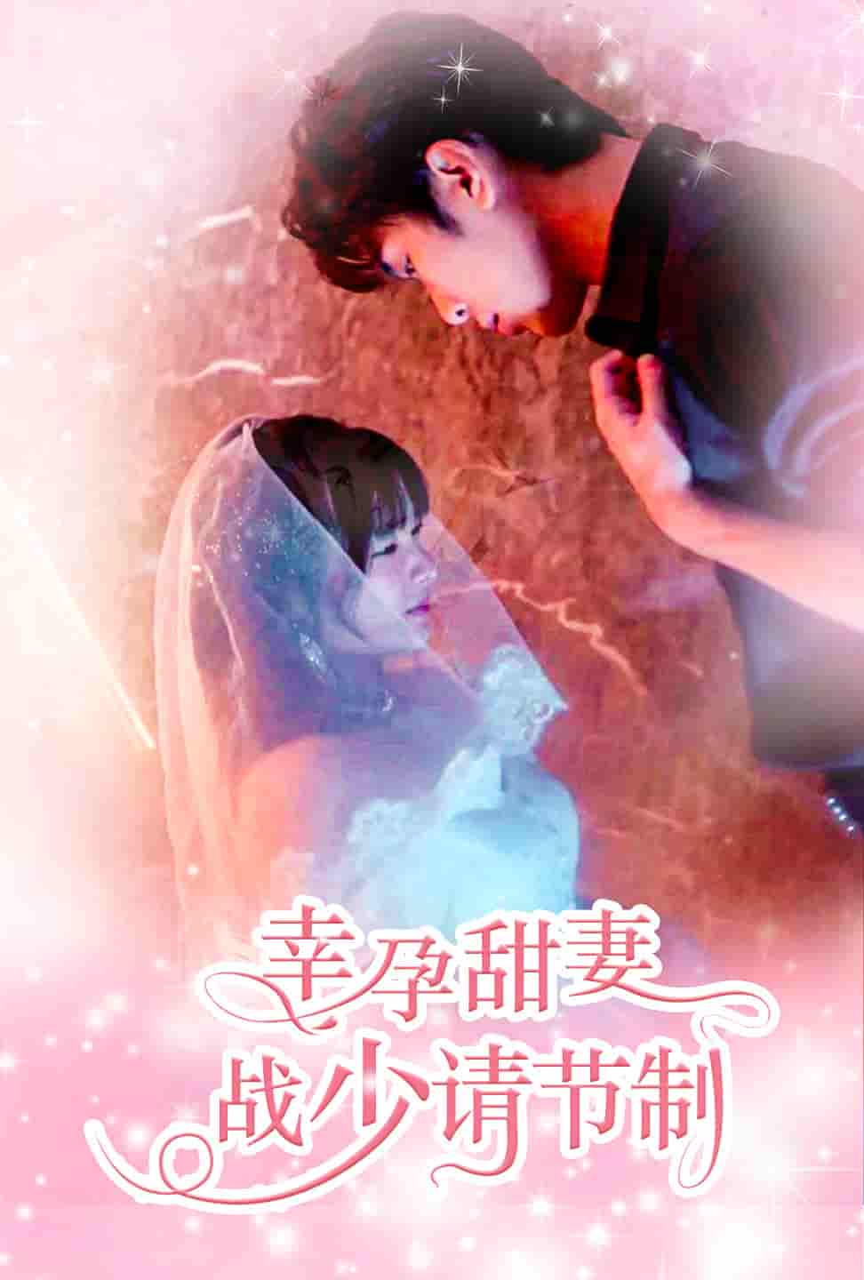 幸孕甜妻战少请节制 第01集