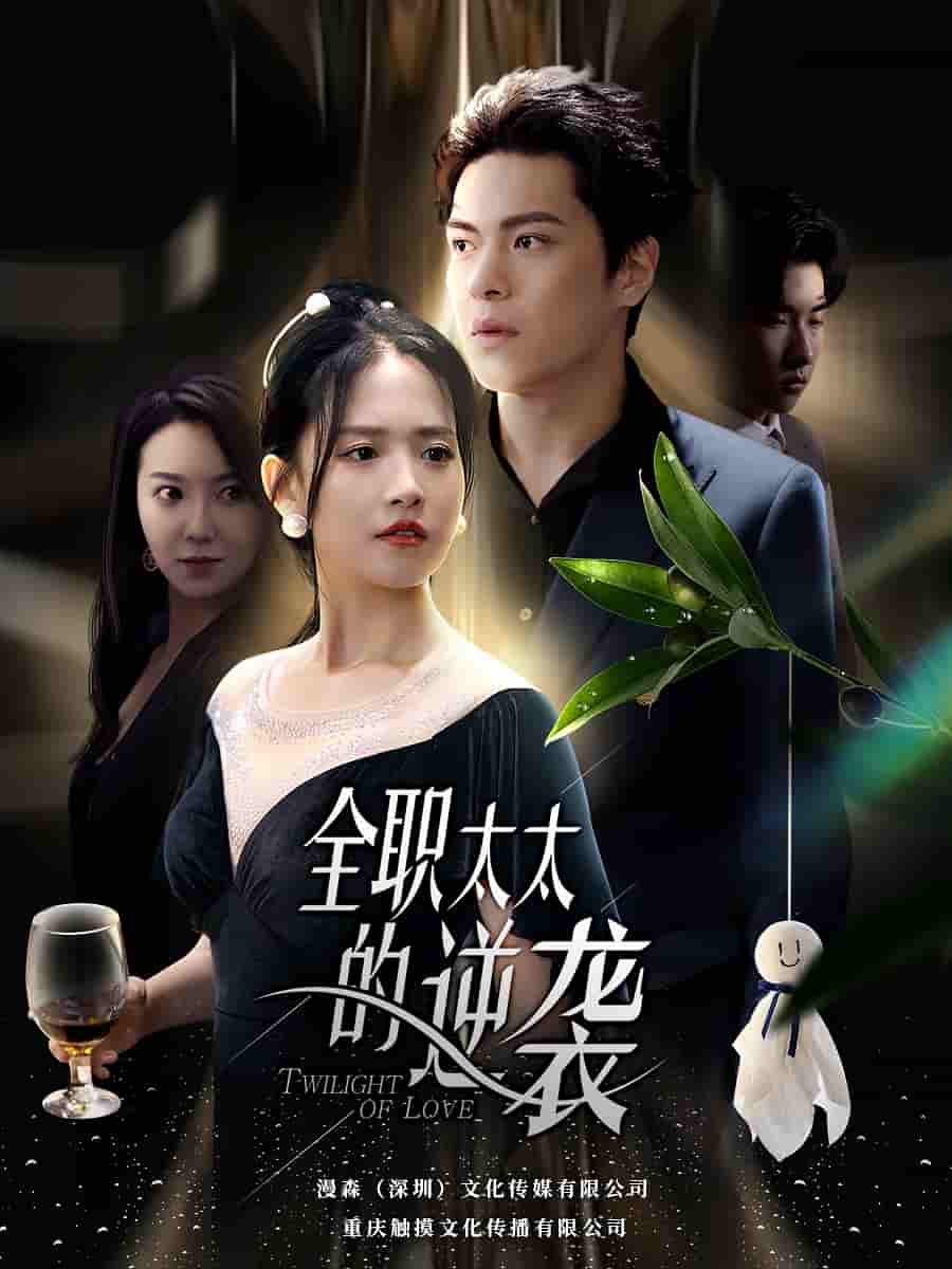 全职太太的逆袭 第01集