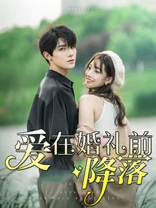 爱在婚礼前降落 第01集