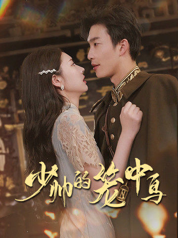 少帅的笼中鸟 第01集