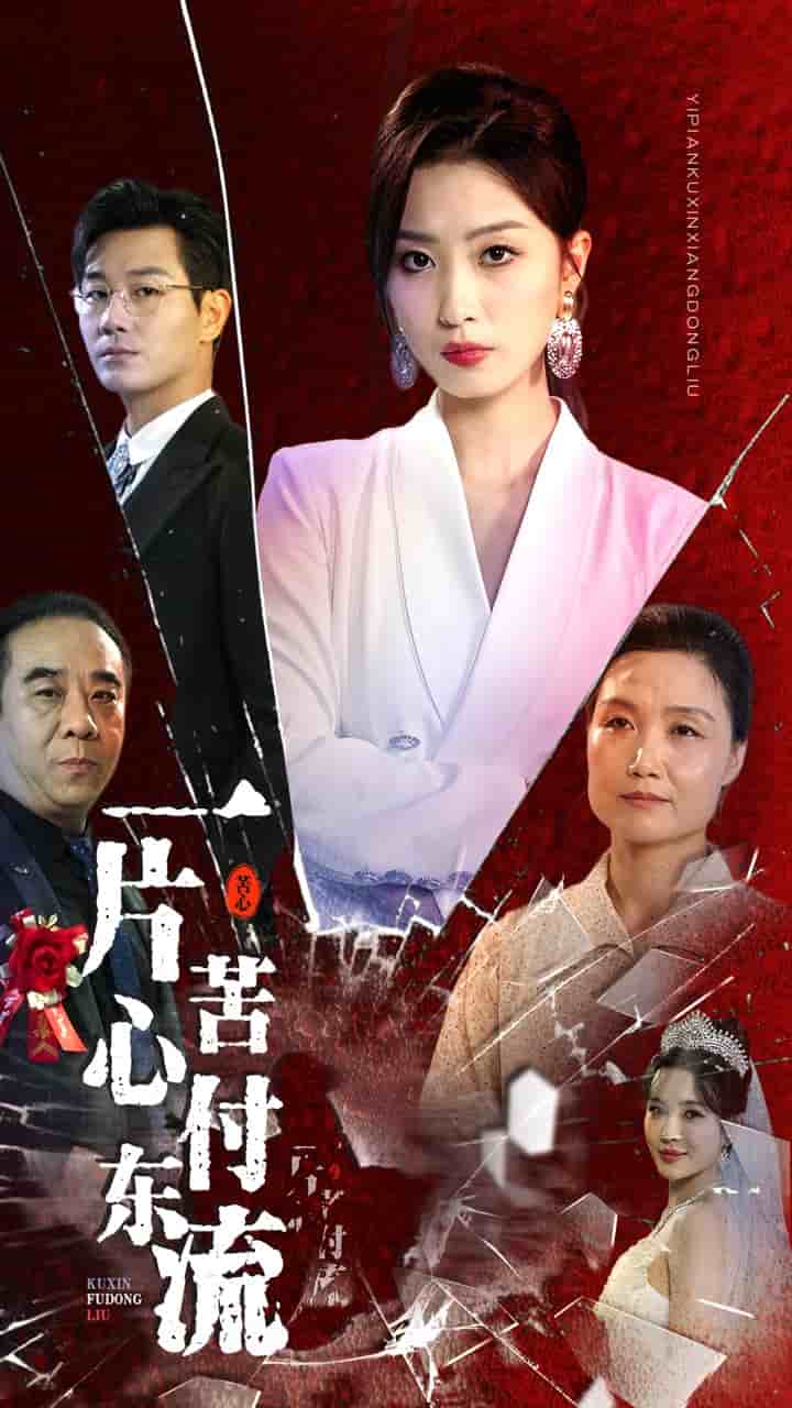 一片苦心付东流 第25集