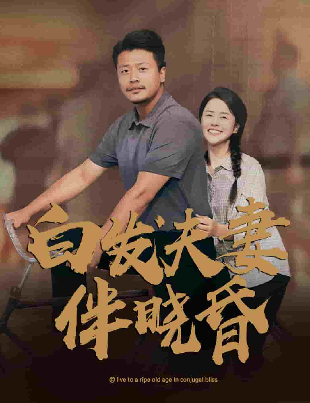 白发夫妻傍晓昏 第27集