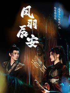 凤羽辰安 第77集