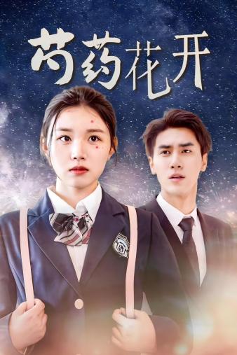 火光中的芍药花 第11集