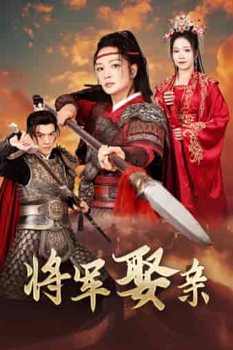 将军娶亲 第21集