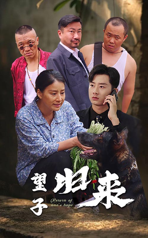 望子归来 第42集