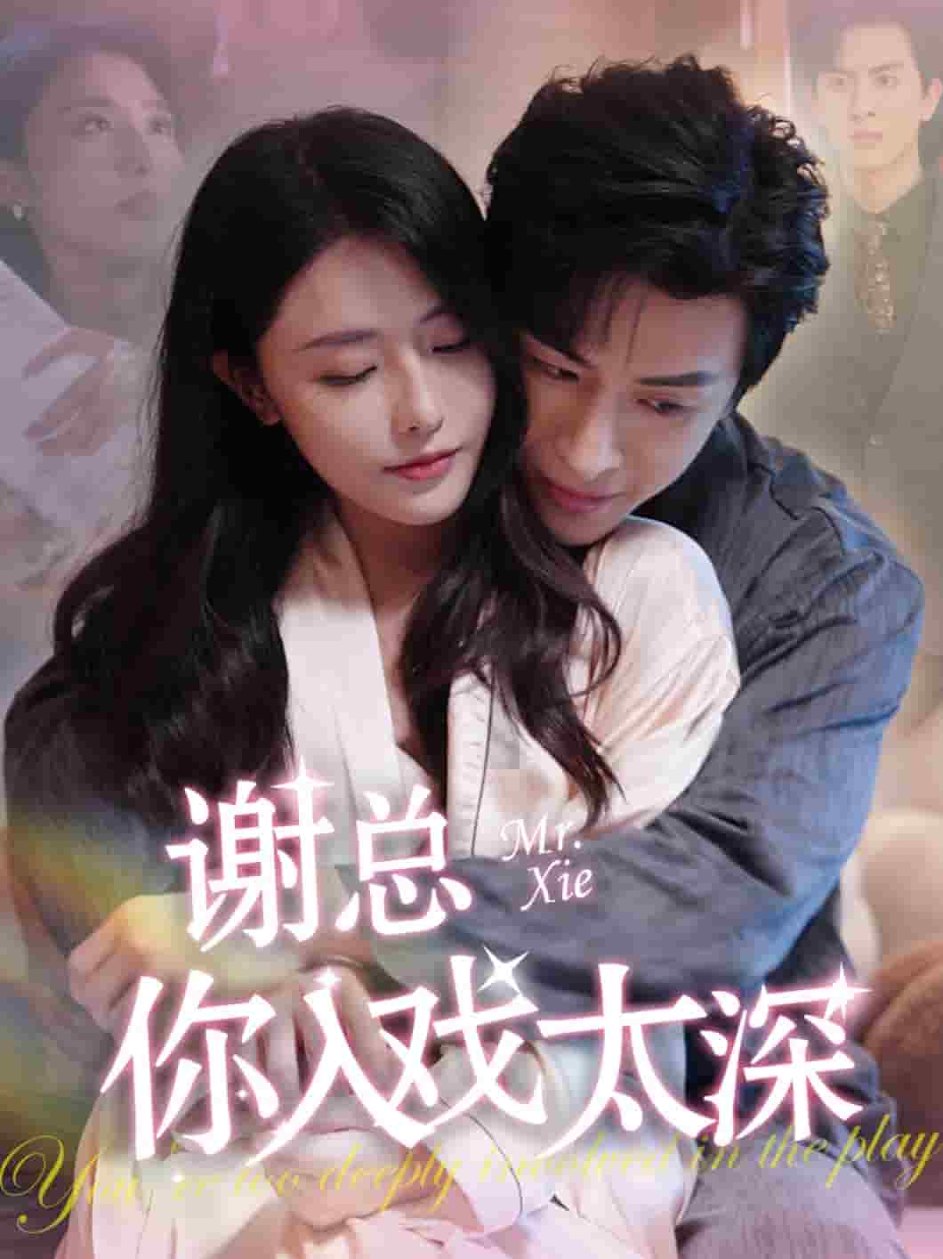 谢总你入戏太深 第24集