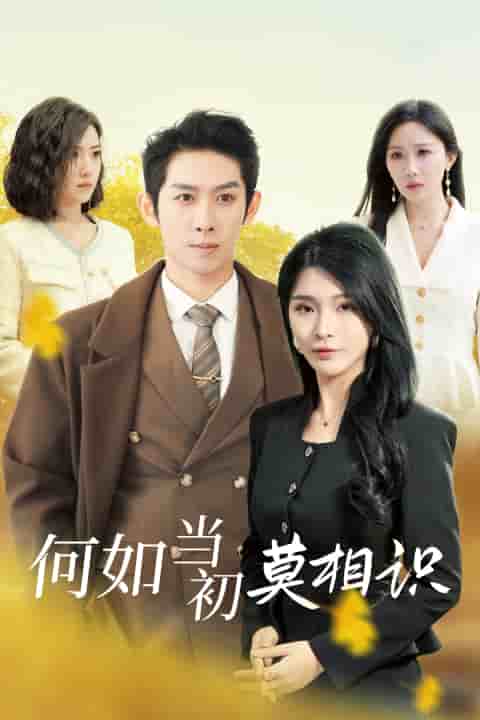 何如当初莫相识 第01集