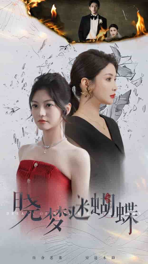 晓梦迷蝴蝶 第01集