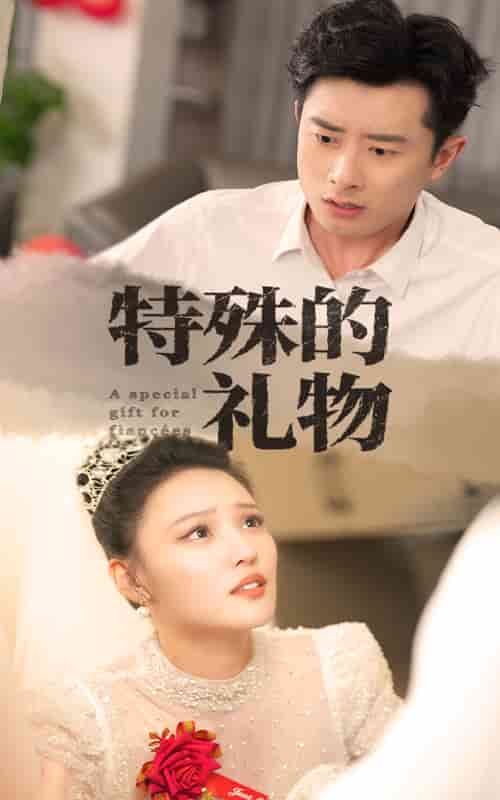 特殊的礼物 第01集