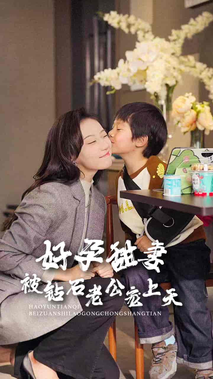 好孕甜妻被钻石老公宠上天 第33集