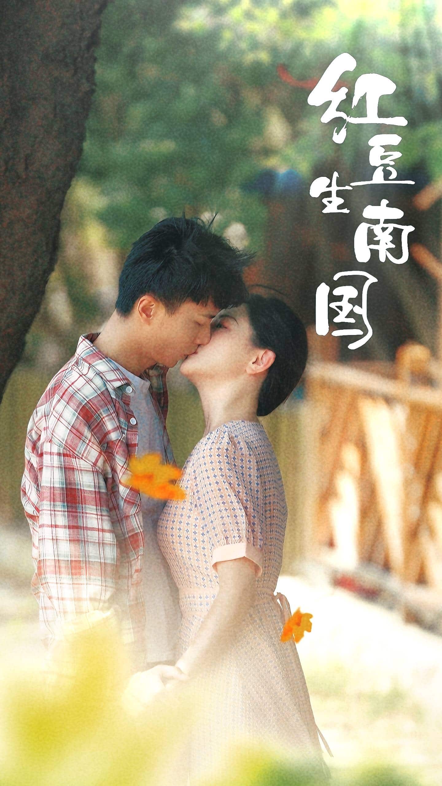 红豆生南国 第21集