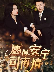 愿得安宁司南情 第37集