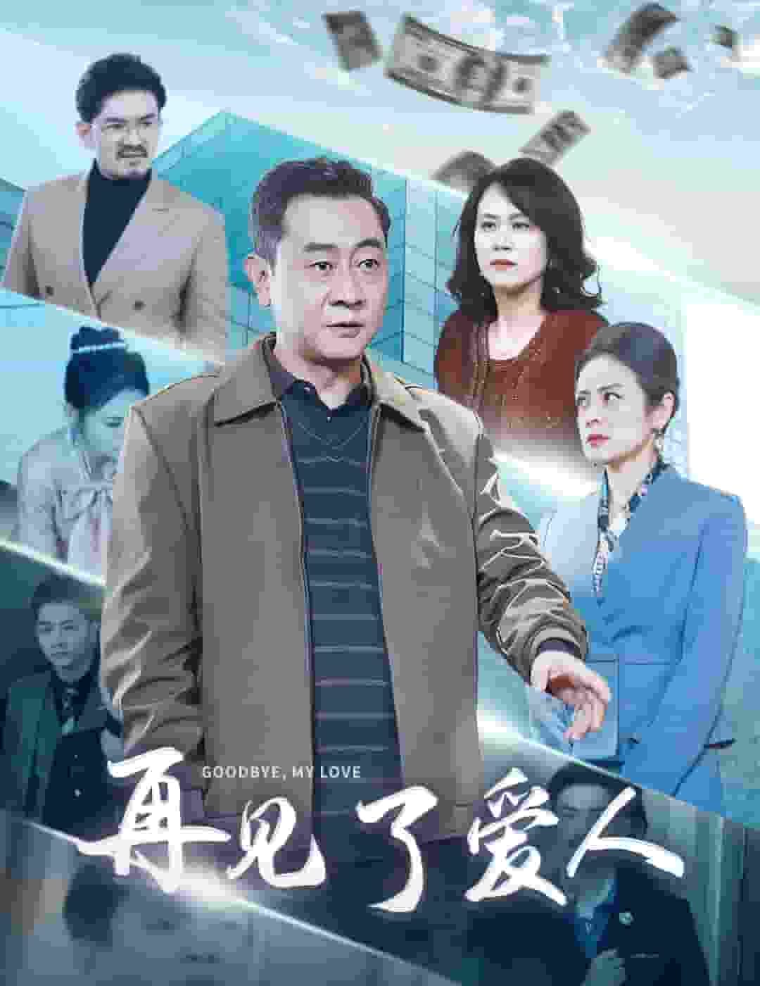 再见了爱人 第29集