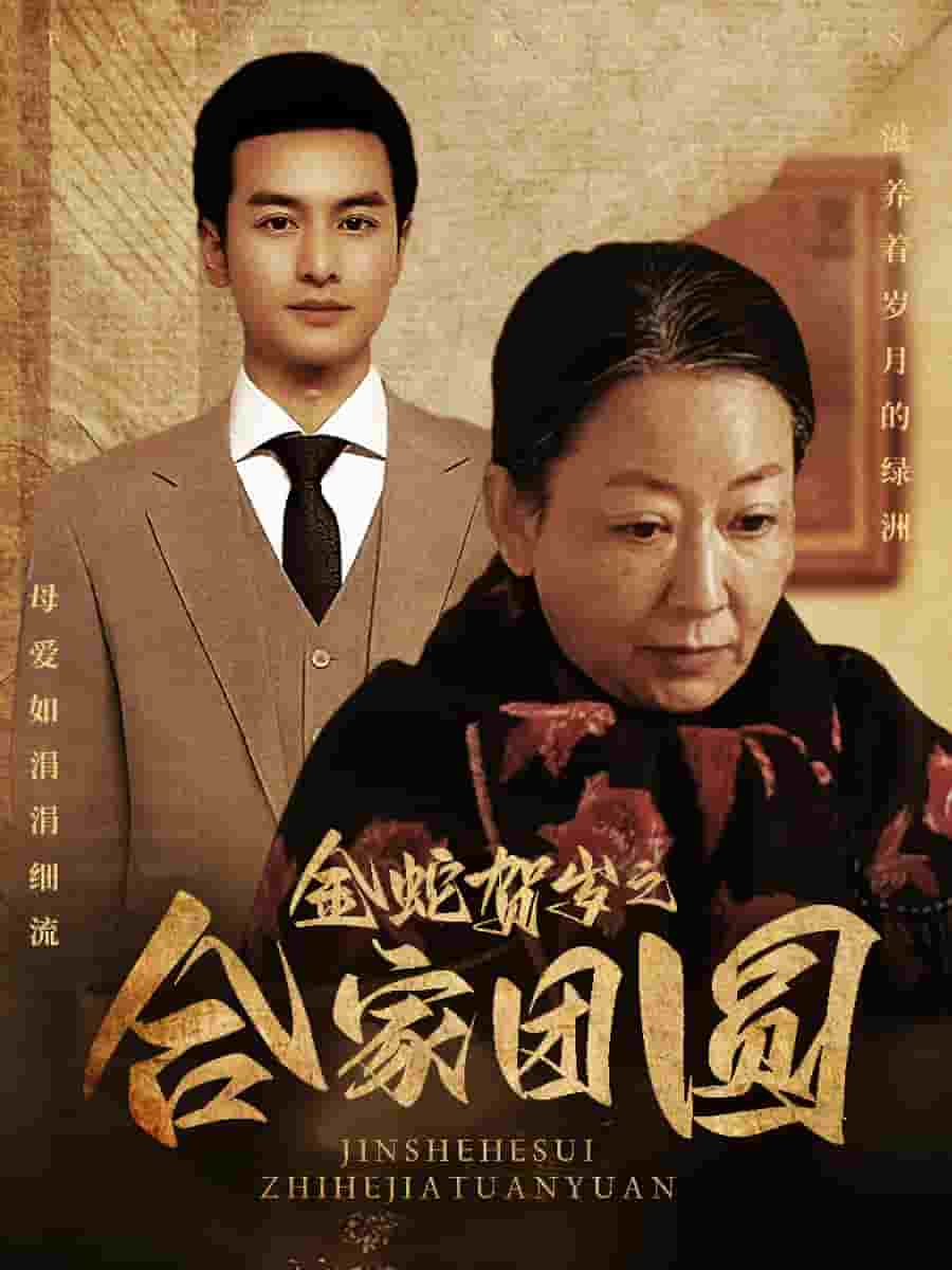 金蛇贺岁之合家团圆 第12集