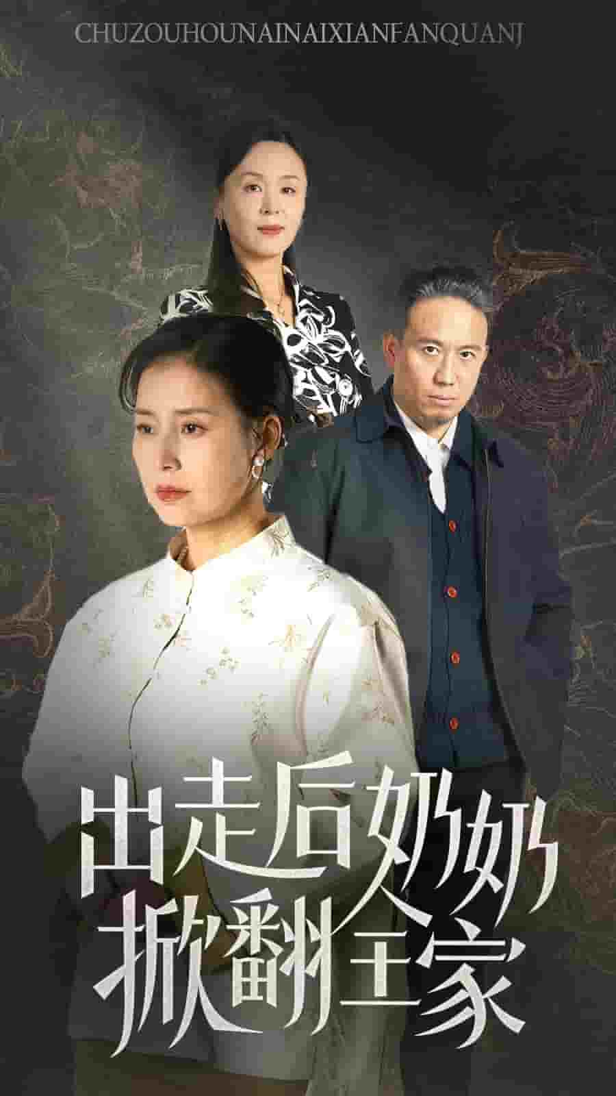 出走后奶奶掀翻全家 第11集