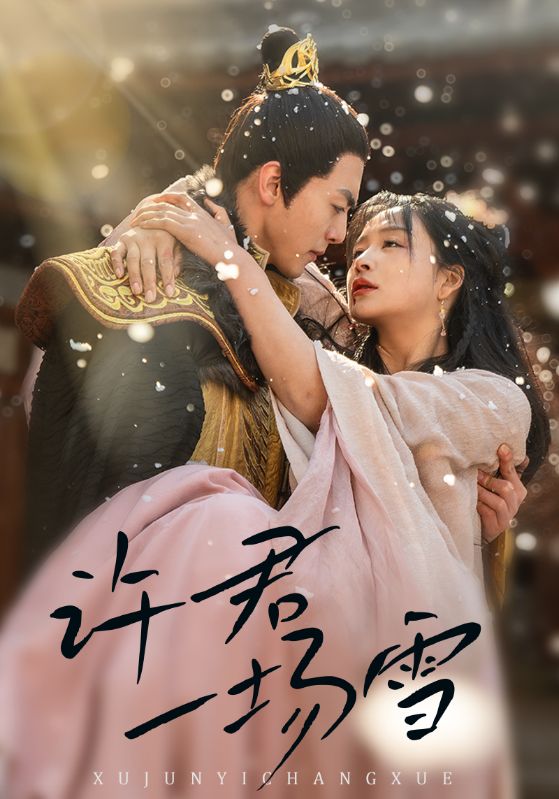 许君一场雪(全集)