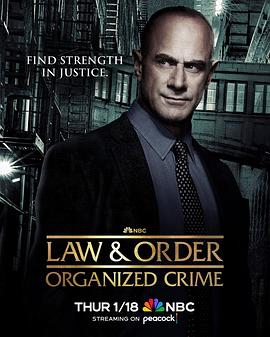 法律与秩序：组织犯罪第四季 第08集