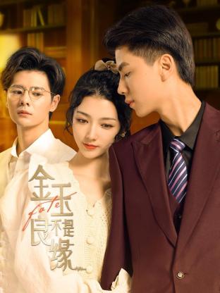 金玉不是良缘 第16集