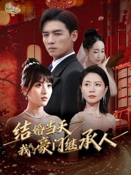 结婚当天我成了豪门继承人 第28集