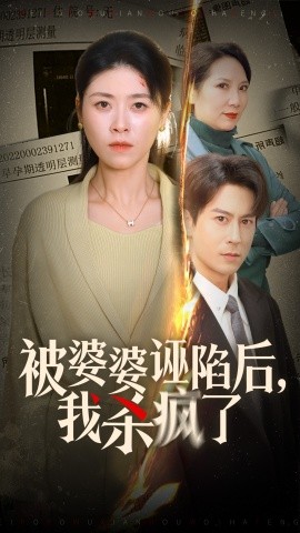 被婆婆诬陷后我杀疯了 第12集