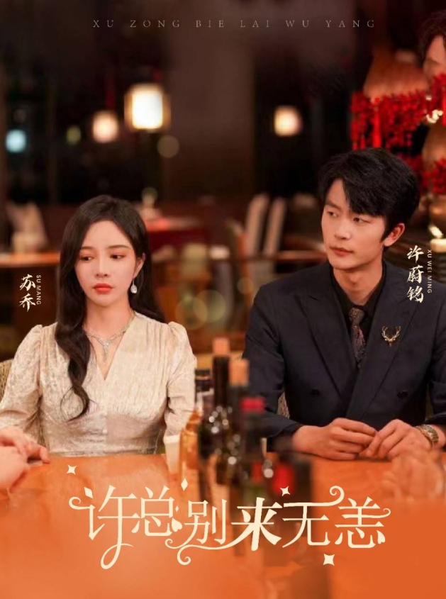许总别来无恙 第21集